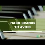 biano brands to avoid